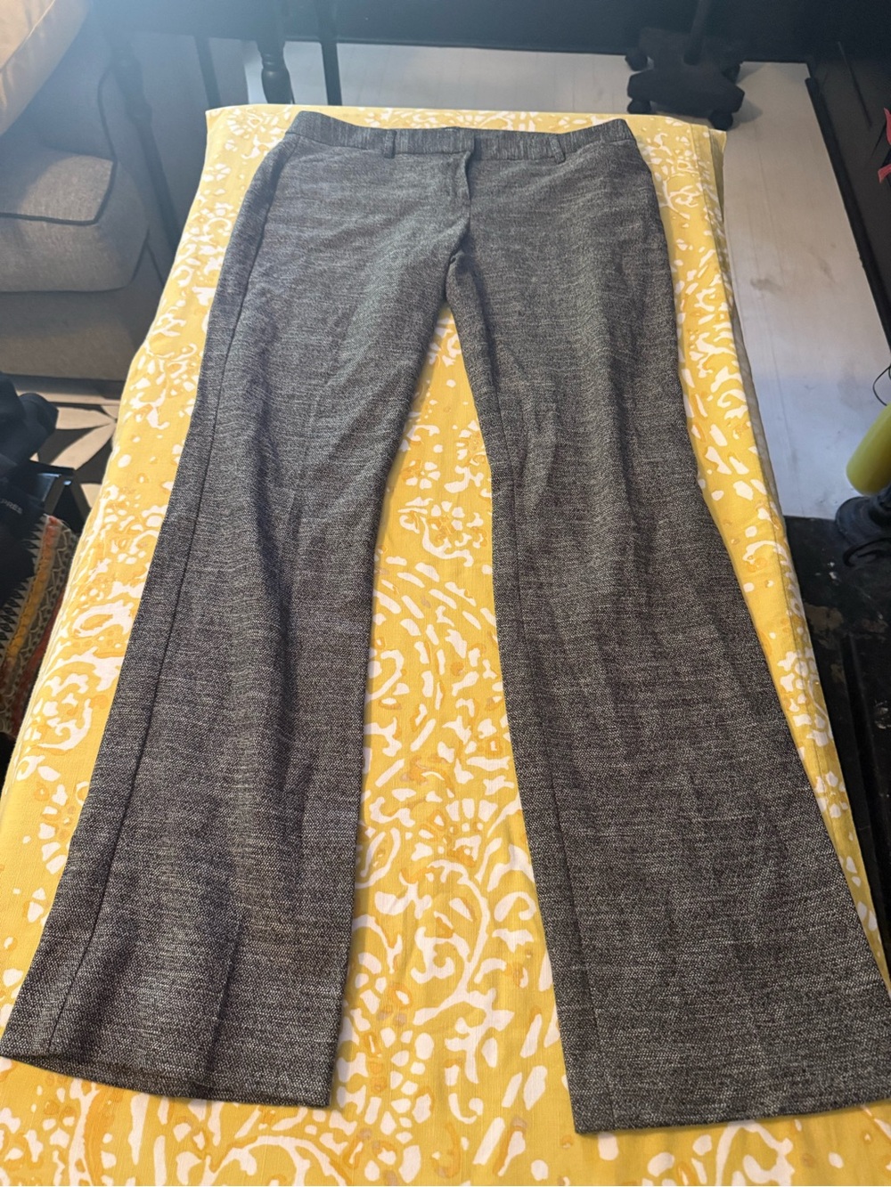 Express Gray Textured Dress Trousers